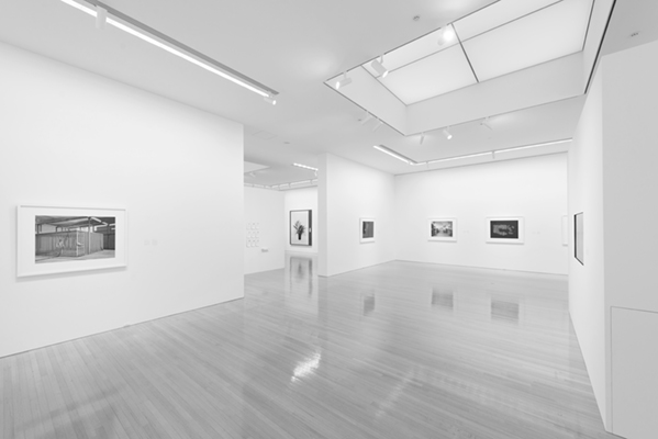 Taming Y/Our Passion: Aichi Triennale