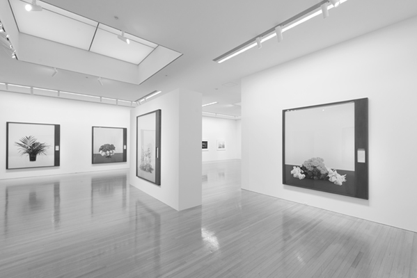 Taming Y/Our Passion: Aichi Triennale