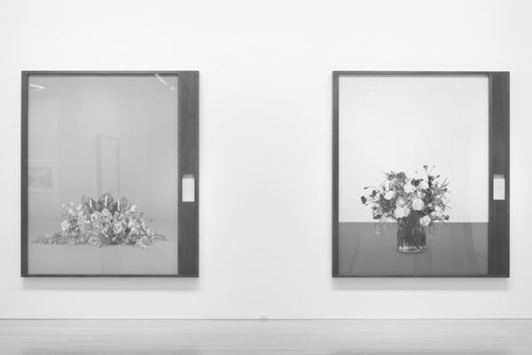Taming Y/Our Passion: Aichi Triennale