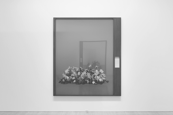 Taming Y/Our Passion: Aichi Triennale