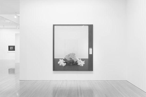 Taming Y/Our Passion: Aichi Triennale