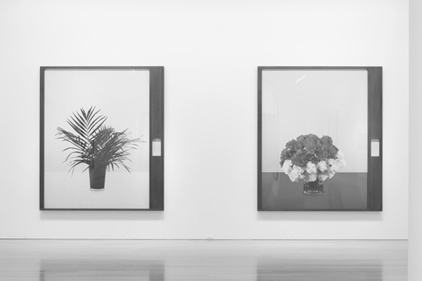 Taming Y/Our Passion: Aichi Triennale