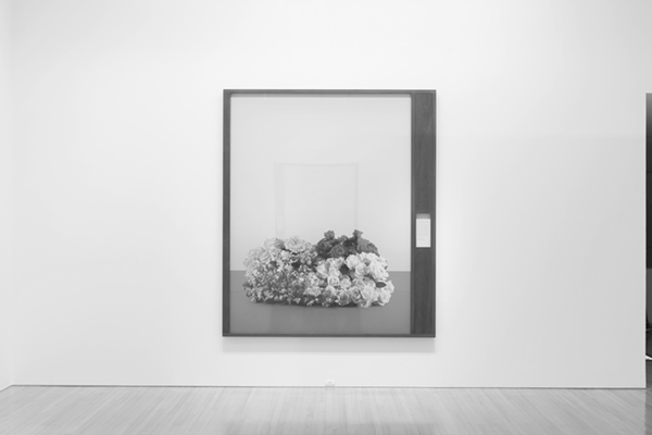 Taming Y/Our Passion: Aichi Triennale