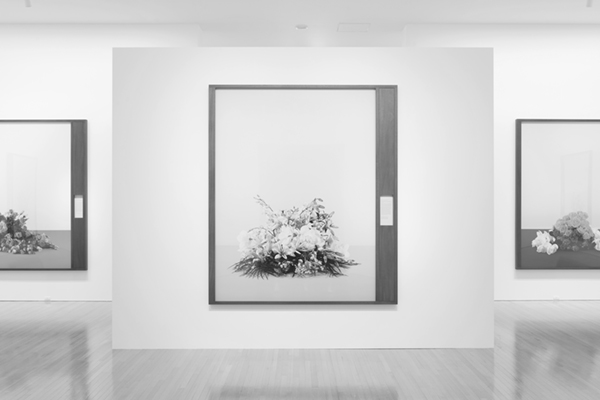 Taming Y/Our Passion: Aichi Triennale