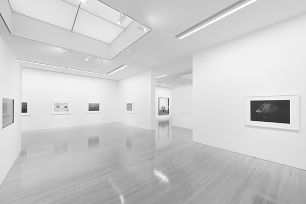 あいちトリエンナーレ2019 情の時代 Taming Y/Our Passio… Taming Y/Our Passion: Aichi Triennale