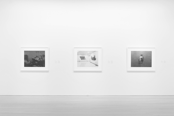 Taming Y/Our Passion: Aichi Triennale