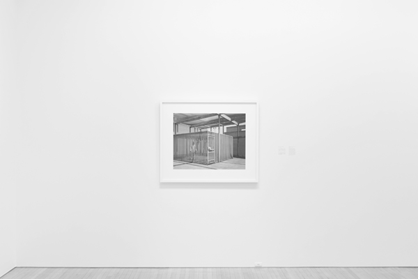 Taming Y/Our Passion: Aichi Triennale